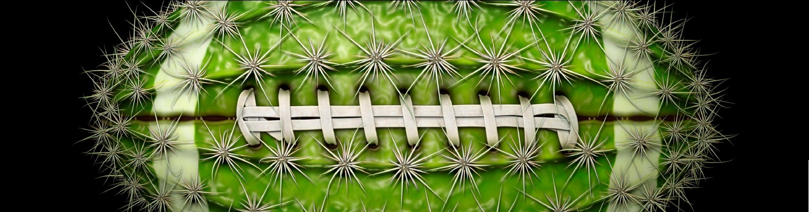 Fiesta/Cactus Bowls