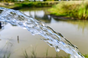 Business for Water Stewardship